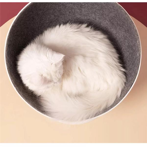  Cool Cat Bed